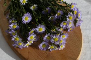 pexels-jill-burrow-6070380